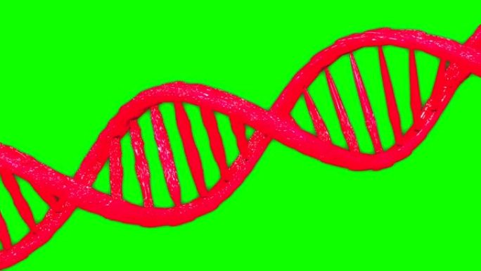 红色dna双螺旋遗传模型动画