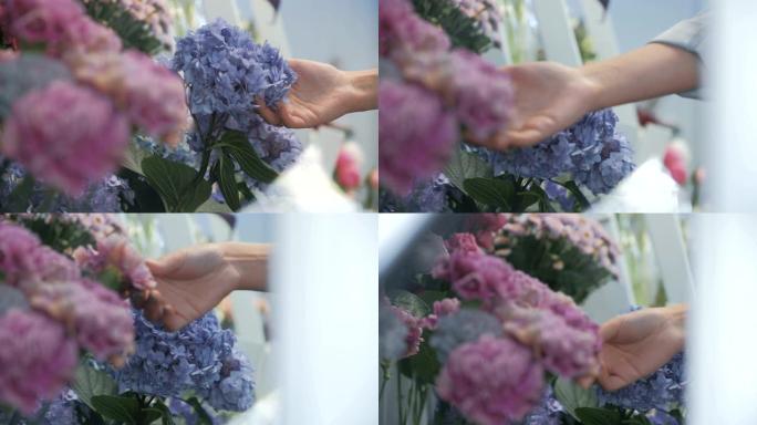 女性花店选择蓝色绣球花作为花束