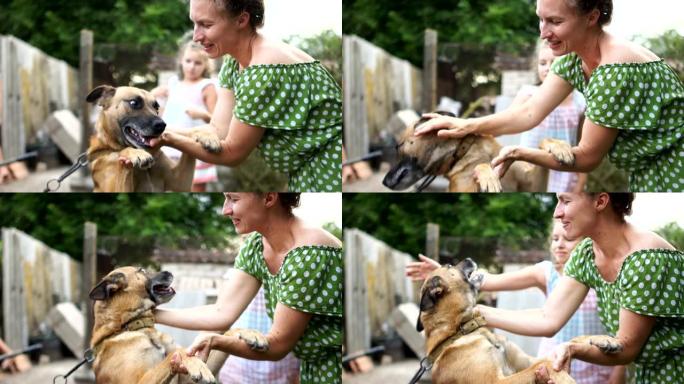 情妇抚摸的锁链狗的特写肖像。爱护动物，保护动物权利，狗舍