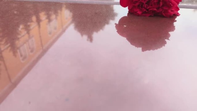 在阵亡将士纪念日，红色康乃馨花摆放在无名战士纪念碑和永恒火焰旁的花岗岩石板上，象征着伟大的卫国战争中