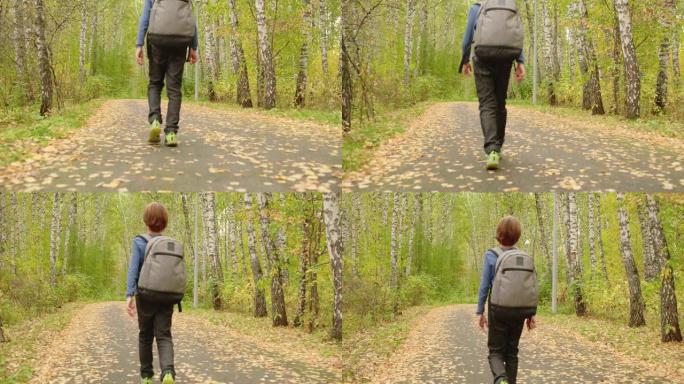 背着背包走在森林里的男孩的后景