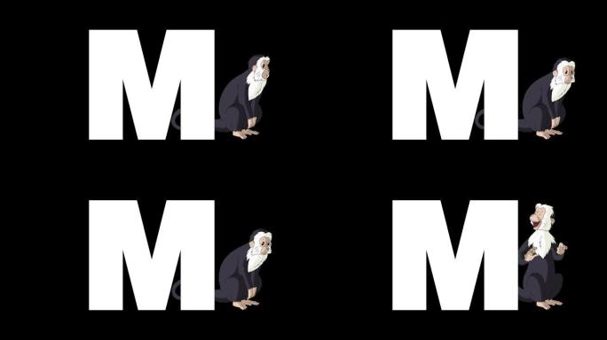 背景上的字母M和猴子