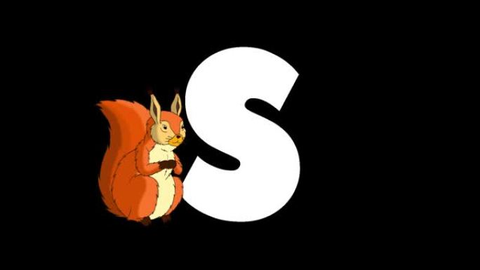 字母S和松鼠在前景上