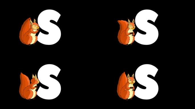 字母S和松鼠在前景上