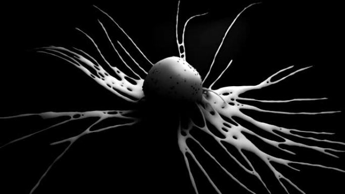 黑白癌细胞的诞生和进化