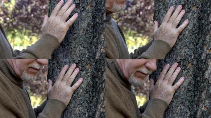 男性养老金领取者在花园里拥抱树，热爱自然，拯救地球，生态