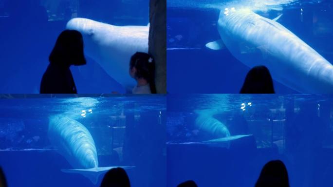 妈妈带着一个小女儿在水族馆里看着游泳池里的一个大白鲸。一只大白海豚游过