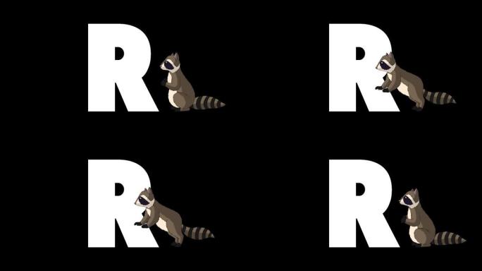 字母R和浣熊在前景