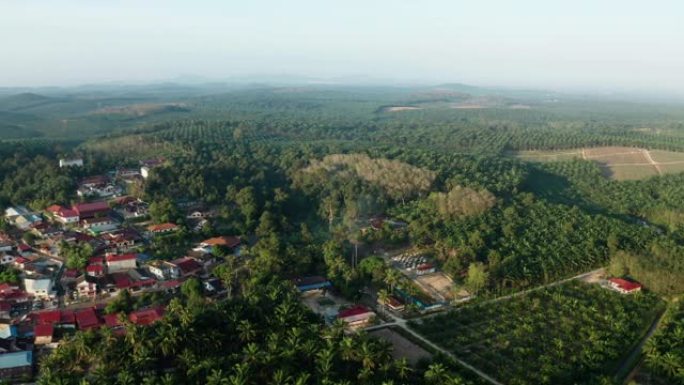 麻坡帕戈油棕种植园的Arial视图