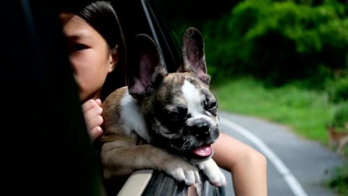 小女孩和小狗开车通过打开窗户来呼吸新鲜空气。