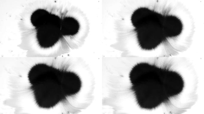 水白色背景下水滴墨滴的美丽动画