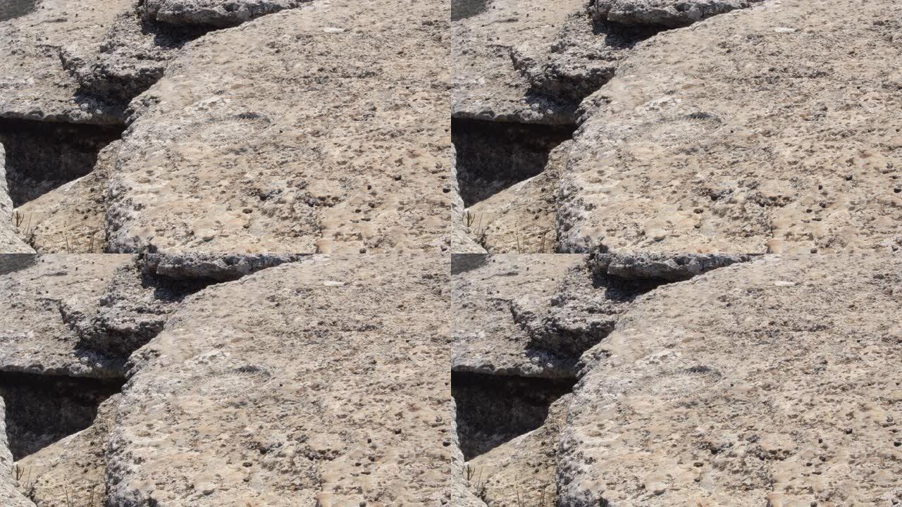 西班牙Torcal de Antequera的化石菊石足迹