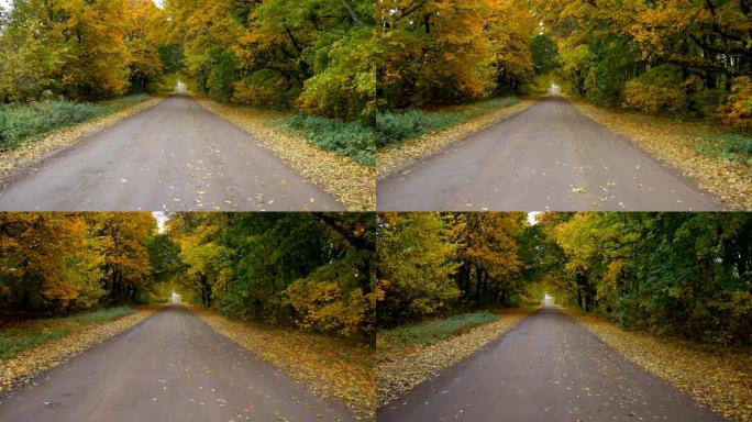 秋天森林中的道路，缓慢，平稳的无人机飞行。黄色的叶子舔着路的两边。