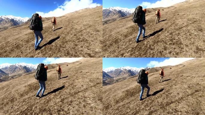 两名游客摄影师留着胡子的男人和女孩戴着帽子和太阳镜的背包，在雪山的背景下，手里拿着相机，在黄色的草地