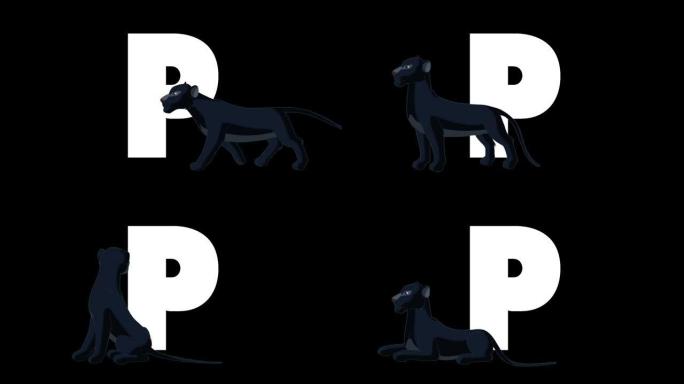 字母P和Panther在前景