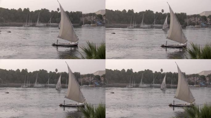 费卢卡帆船，尼罗河，阿斯旺，埃及