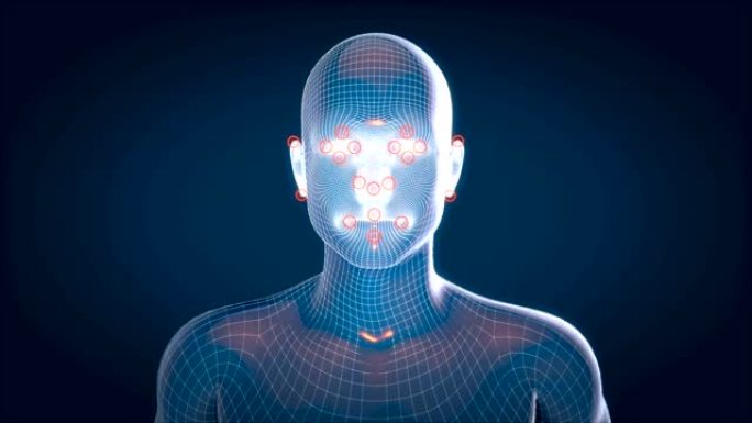 人体x射线，人体解剖面部识别，3D动画