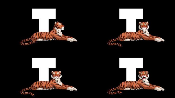 字母T和Tiger在前景
