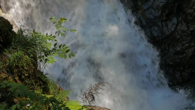 法国和瑞士阿尔卑斯山的阿尔卑斯河瀑布，微风和震耳欲聋的噪音使植被移动
