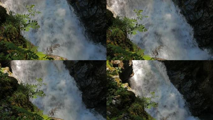 法国和瑞士阿尔卑斯山的阿尔卑斯河瀑布，微风和震耳欲聋的噪音使植被移动