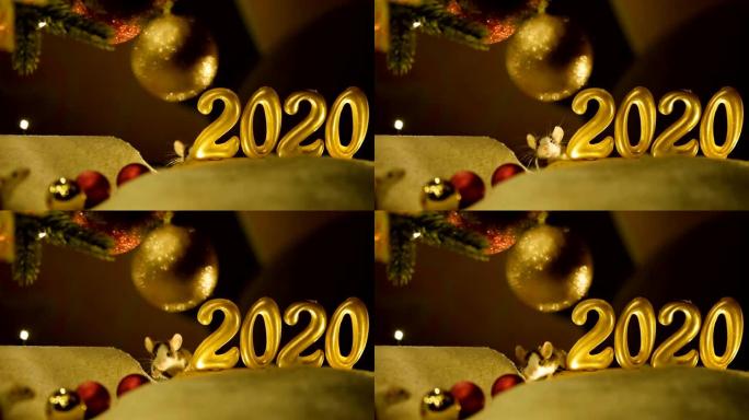 一只灰色的老鼠从2020标志后面爬出来，这是新年的象征。