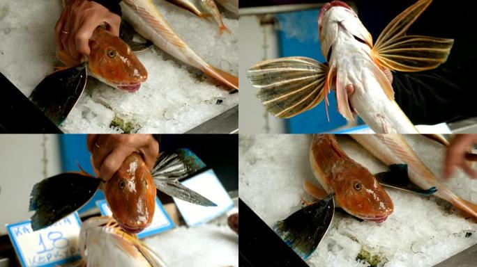 新鲜海鲜。海鱼的特写镜头。红色古纳德躺在美食街市场的冰上。希腊。4K