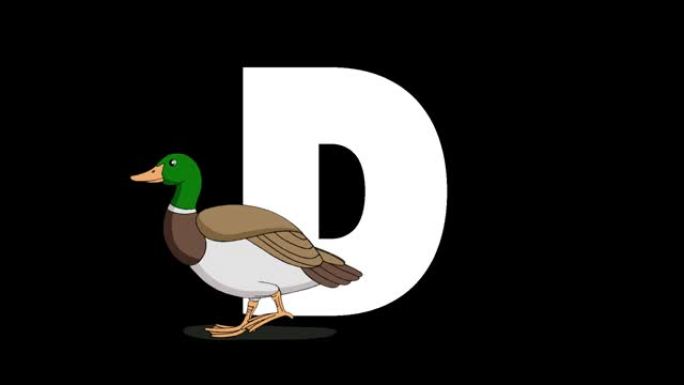 字母D和前景上的鸭子