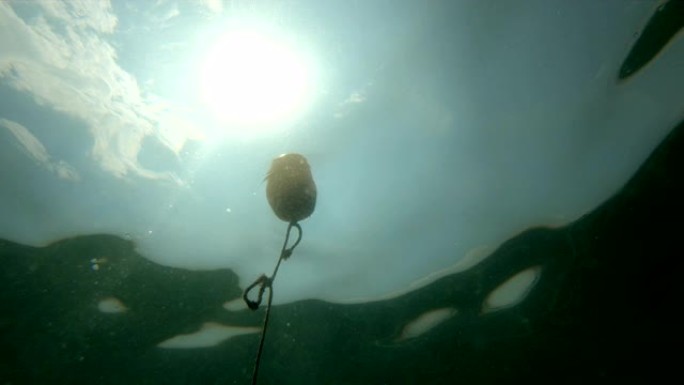 水中海滩上的绳索上的保护性漂浮物的水下视图