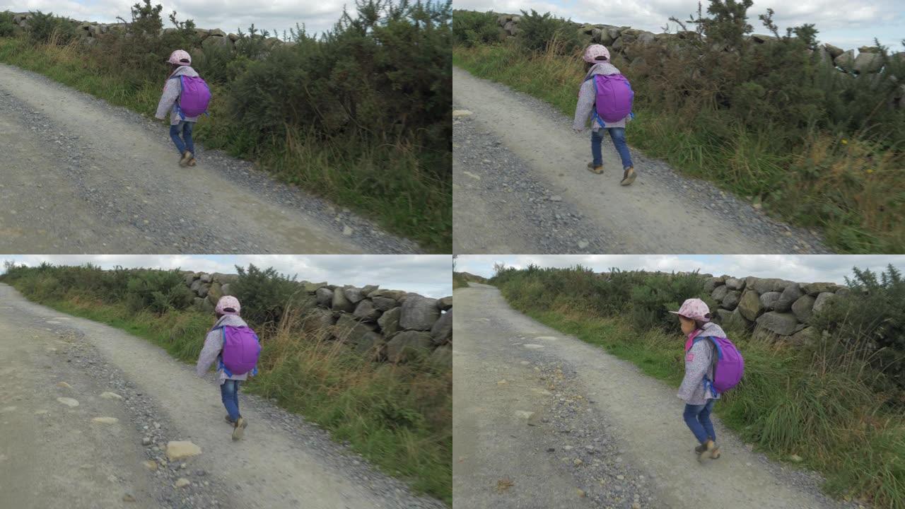 北爱尔兰乡村徒步旅行的蹒跚学步的女孩