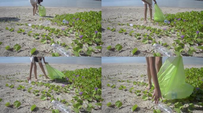 年轻女孩在沙滩上收集垃圾成绿色塑料袋，塑料瓶被收集在沙滩上，志愿者清理海滩。