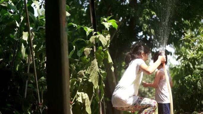 蹒跚学步的孩子在夏天在户外玩水管