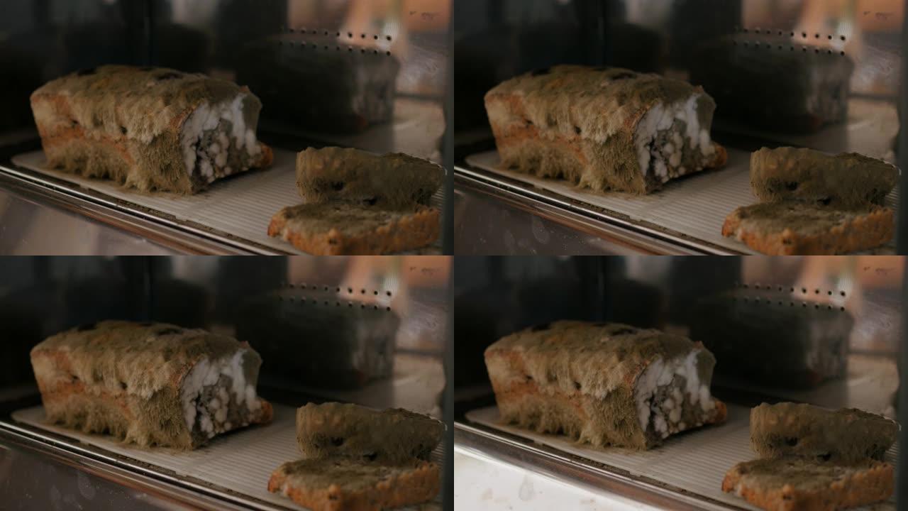 打开一个面包盒，里面显示发霉的面包