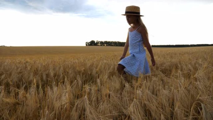 美丽的小女孩，长长的金发走过麦田。戴着草帽的可爱的孩子抚摸着庄稼的金色耳朵。穿着裙子的小孩在大麦的草