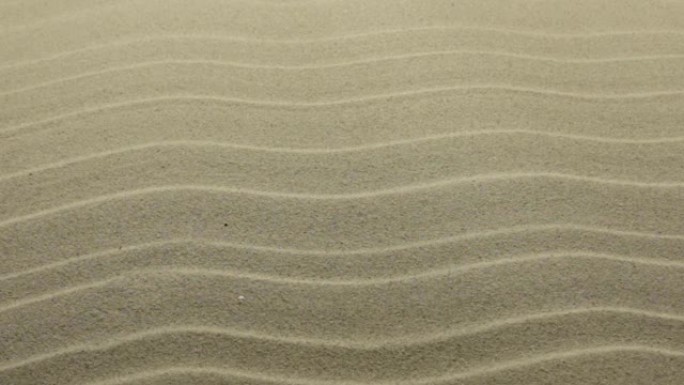 背景沙丘砂纹理。黄沙纹理为背景。滑块镜头。