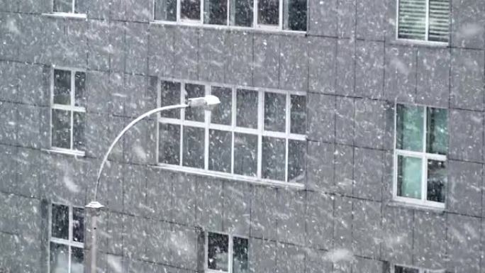 高楼路灯和窗户上飘落的雪花