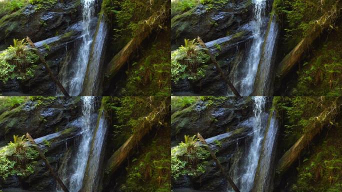 北加州福雷斯特的中型瀑布