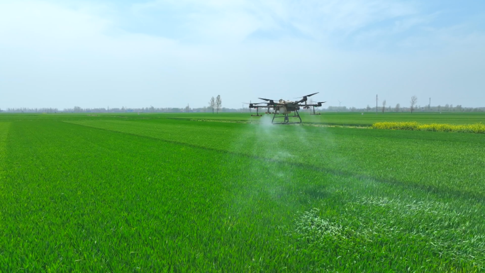 无人机打药 喷洒农药农业 小麦病虫害防治