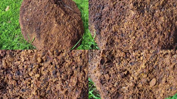 红土: 红土是富含铁和铝的土壤和岩石类型，通常被认为是在炎热和潮湿的热带地区形成的。在地面上。