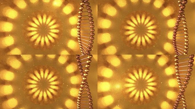 带有DNA分子漩涡的金色几何背景。3D渲染循环4k