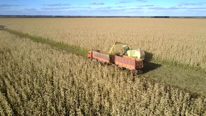 装有空拖车的卡车跟随收割机卸下玉米