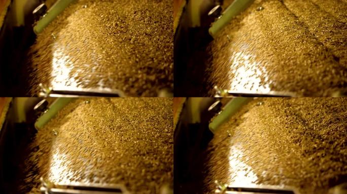 谷物的处理: 黑麦，大麦，使用现代设备的小麦。慢动作。高清