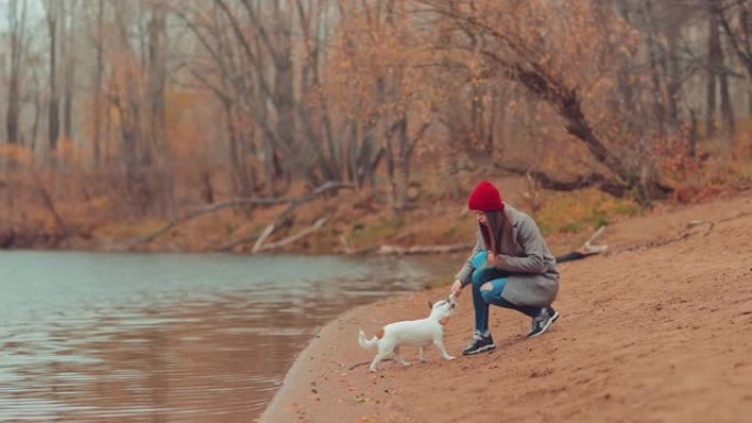 小狗把情妇拉到河边去马蹄铁，天篷散步。女孩和一只狗坐在河边。