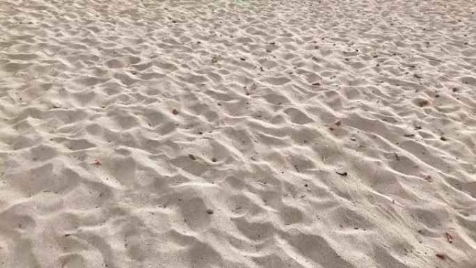 海边沙滩上的脚印