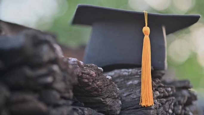 黑色毕业生帽子和黄色流苏贴在旧木头上