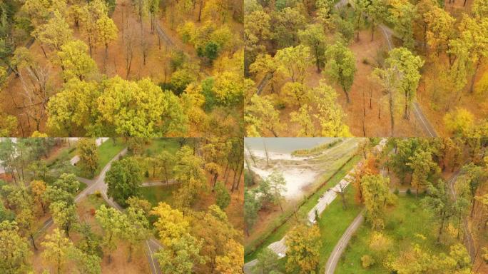 美丽的秋树，红黄绿绿。无人机在秋季森林上的缓慢飞行。