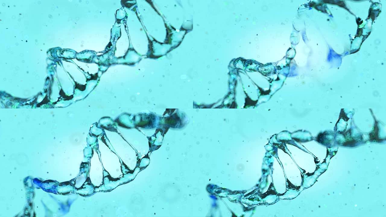 来自水滴的动画DNA模型。3D