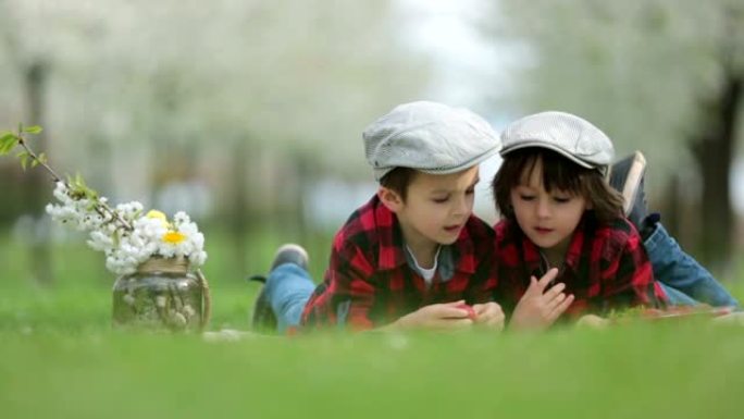 两个孩子，男孩兄弟，在公园里看书吃草莓，春天盛开的花园