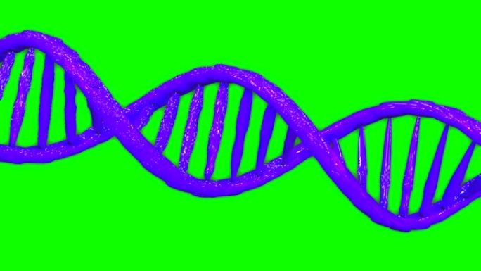 紫色dna双螺旋遗传模型动画