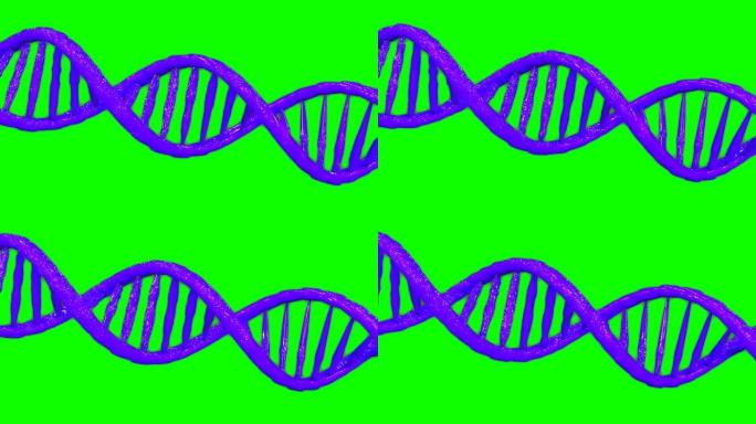 紫色dna双螺旋遗传模型动画