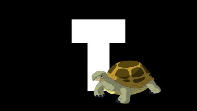 字母T和乌龟在前景